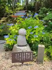 観音寺(京都府)