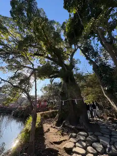 三嶋大社(静岡県)