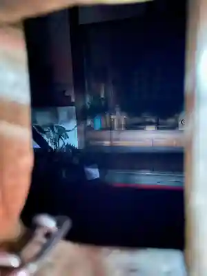 熊野神社(神奈川県)