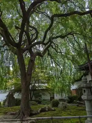 本満寺(本願満足寺)(京都府)