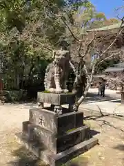 今宮神社の狛犬