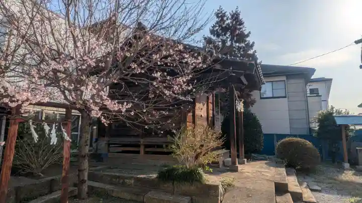 白山神社の{uncategorized: "未分類", other: "その他", undefined: "問題あり", building: "その他建物", grave: "お墓", sacred_gate: "鳥居", guardian: "狛犬", statue: "像", buddha: "仏像", history: "歴史", nature: "自然", garden: "庭園", animal: "動物", pagoda: "塔", temizu: "手水舎", mountain_gate: "山門・神門", sanctuary: "本殿・本堂", subordinate: "末社・摂社", art: "芸術", scenery: "景色", jizo: "地蔵", ema: "絵馬", goshuin: "御朱印", omikuji: "おみくじ", items: "授与品その他", amulet: "お守り", goshuincho: "御朱印帳", eats: "食事", festival: "お祭り", votive_dance: "神楽", shichigosan: "七五三参", wedding: "結婚式", experience: "体験その他", initially: "初詣", around: "周辺", anti_infection: "感染症対策"}