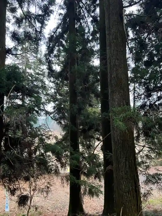 大宮温泉神社(栃木県)