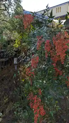 行願寺（革堂）(京都府)