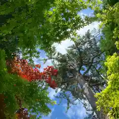 滑川神社 - 仕事と子どもの守り神の自然