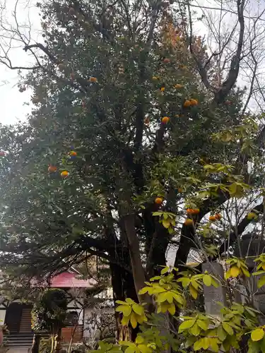 東勝寺宗吾霊堂(千葉県)