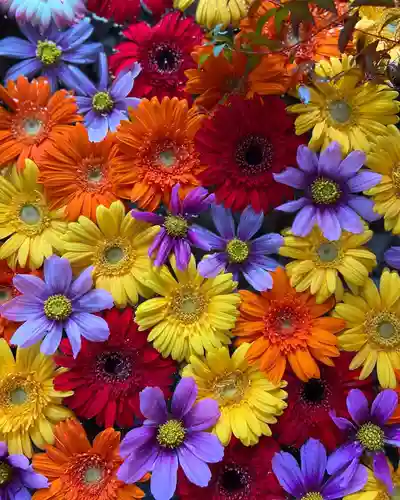 札幌諏訪神社の手水舎