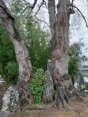 毘沙門堂(岩手県)