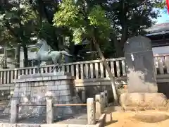 富岡八幡宮の狛犬