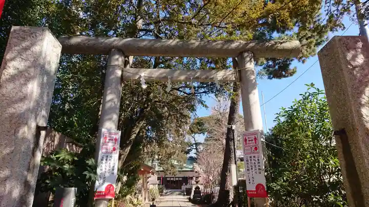 八雲氷川神社の鳥居