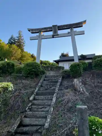 琴平神社の{uncategorized: "未分類", other: "その他", undefined: "問題あり", building: "その他建物", grave: "お墓", sacred_gate: "鳥居", guardian: "狛犬", statue: "像", buddha: "仏像", history: "歴史", nature: "自然", garden: "庭園", animal: "動物", pagoda: "塔", temizu: "手水舎", mountain_gate: "山門・神門", sanctuary: "本殿・本堂", subordinate: "末社・摂社", art: "芸術", scenery: "景色", jizo: "地蔵", ema: "絵馬", goshuin: "御朱印", omikuji: "おみくじ", items: "授与品その他", amulet: "お守り", goshuincho: "御朱印帳", eats: "食事", festival: "お祭り", votive_dance: "神楽", shichigosan: "七五三参", wedding: "結婚式", experience: "体験その他", initially: "初詣", around: "周辺", anti_infection: "感染症対策"}