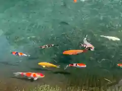 水分神社の動物