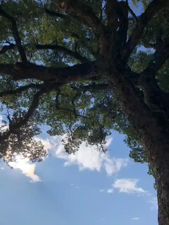 岡山神社の自然