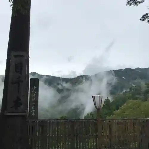 吉水神社の自然