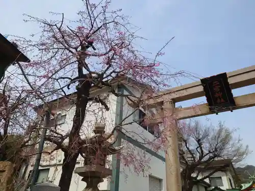 二宮神社(兵庫県)