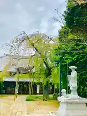 慶龍寺の建物その他