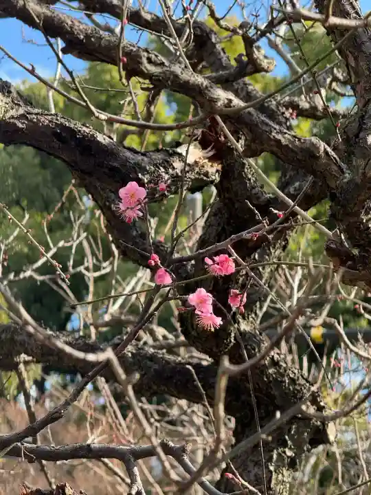 芝東照宮(東京都)