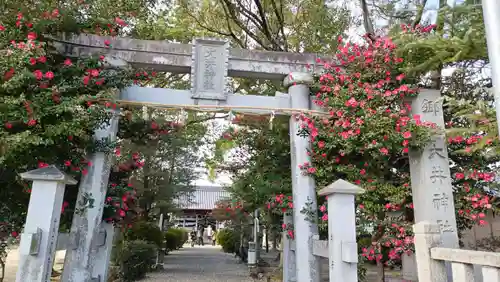大井神社(愛知県)