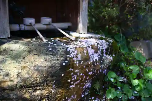 千手院の手水舎