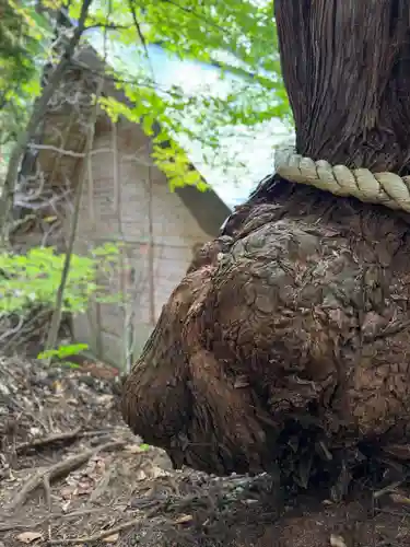 戸隠神社火之御子社(長野県)