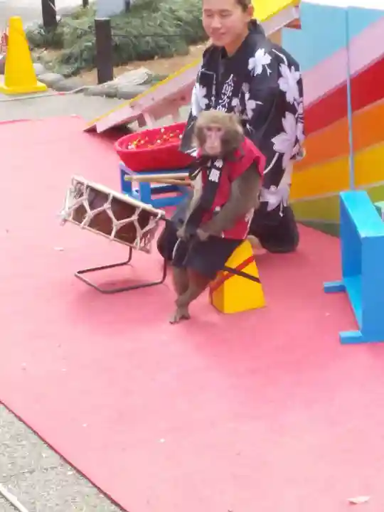 湯島天満宮の動物