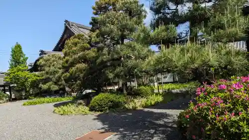 得浄明院（善光寺別院）(京都府)