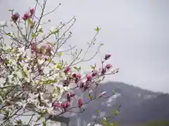 極楽山　浄土寺の景色