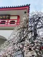 成願寺(東京都)