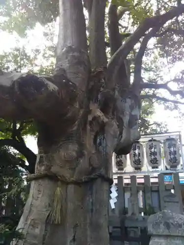 満足稲荷神社のその他建物
