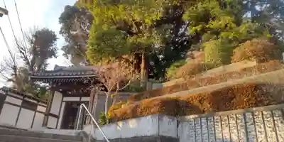 法真寺(東京都)