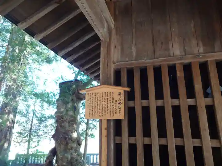 諏訪大社(長野県)