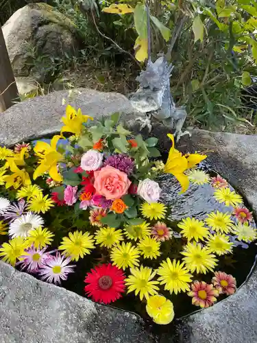 平等寺（三輪山平等寺）の手水舎