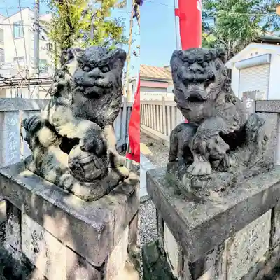 尾久八幡神社の狛犬