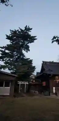 八幡神社のその他建物