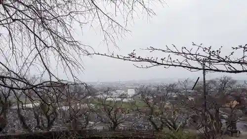 稱名寺の景色