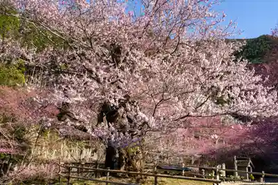 春谷寺(三重県)