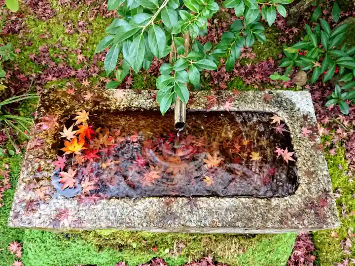 常寂光寺の手水舎