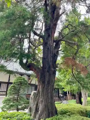 高安寺(東京都)