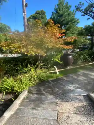 南宗寺(大阪府)