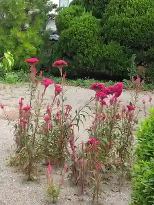 瑞雲寺(神奈川県)