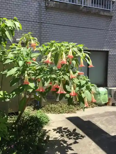 小梳神社の自然