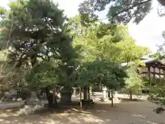 御霊神社（上御霊神社）(京都府)