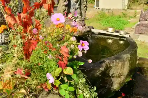 妙龍神社(新潟県)