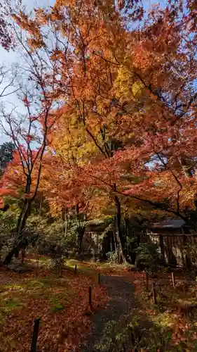 来迎院(京都府)