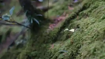 唐招提寺(奈良県)