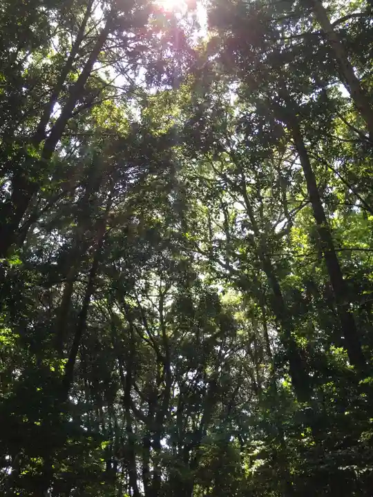 月讀宮(皇大神宮別宮)の自然