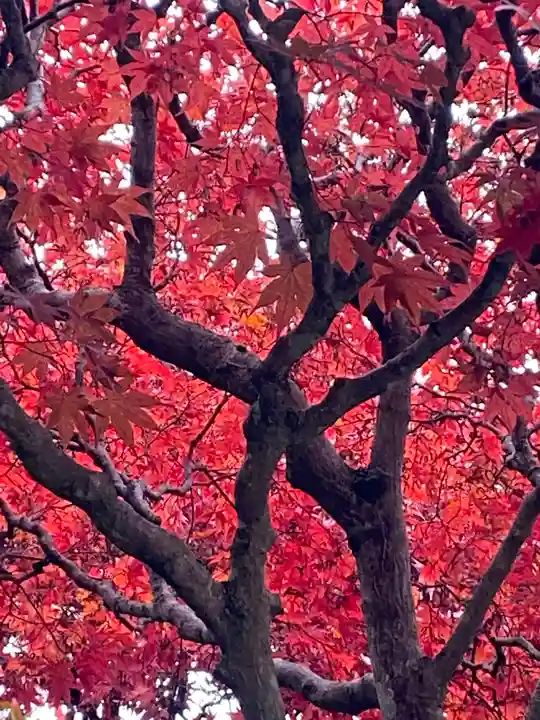 花巻温泉稲荷神社の自然
