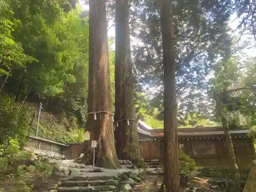丹生川上神社（中社）の{uncategorized: "未分類", other: "その他", undefined: "問題あり", building: "その他建物", grave: "お墓", sacred_gate: "鳥居", guardian: "狛犬", statue: "像", buddha: "仏像", history: "歴史", nature: "自然", garden: "庭園", animal: "動物", pagoda: "塔", temizu: "手水舎", mountain_gate: "山門・神門", sanctuary: "本殿・本堂", subordinate: "末社・摂社", art: "芸術", scenery: "景色", jizo: "地蔵", ema: "絵馬", goshuin: "御朱印", omikuji: "おみくじ", items: "授与品その他", amulet: "お守り", goshuincho: "御朱印帳", eats: "食事", festival: "お祭り", votive_dance: "神楽", shichigosan: "七五三参", wedding: "結婚式", experience: "体験その他", initially: "初詣", around: "周辺", anti_infection: "感染症対策"}