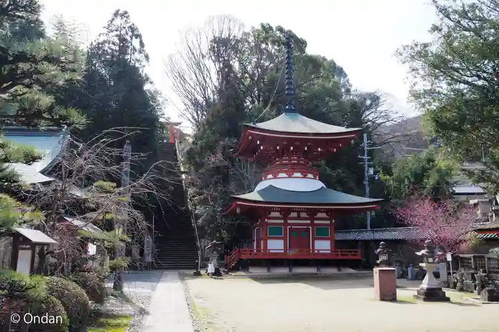 慈尊院(和歌山県)