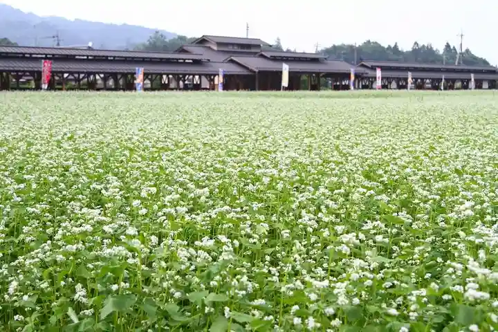 【公式】龍門院常楽寺(秩父札所十一番)の景色